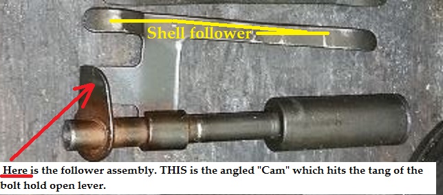shell follower explained.jpg